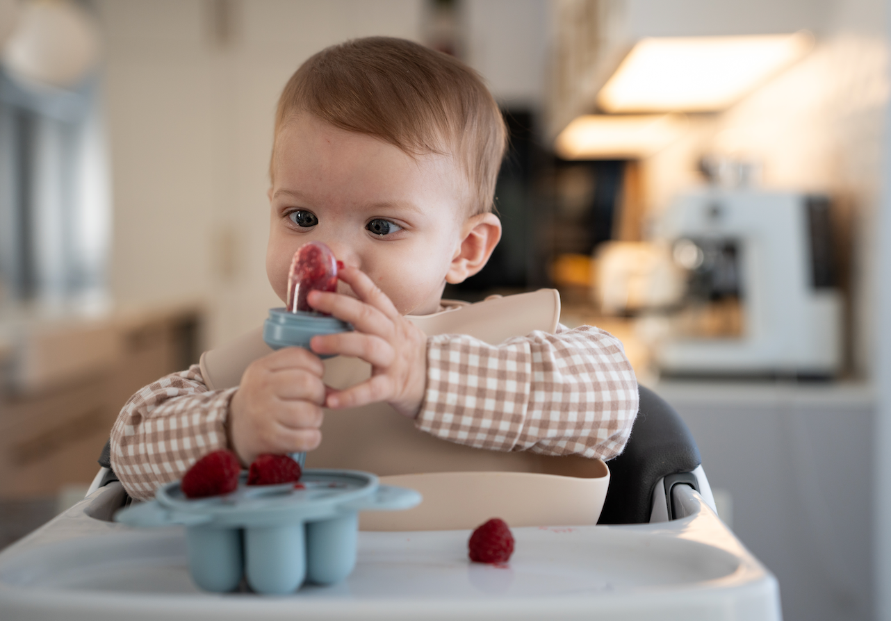 Picky Toddler ? Try these 5 Fun Food Ideas!