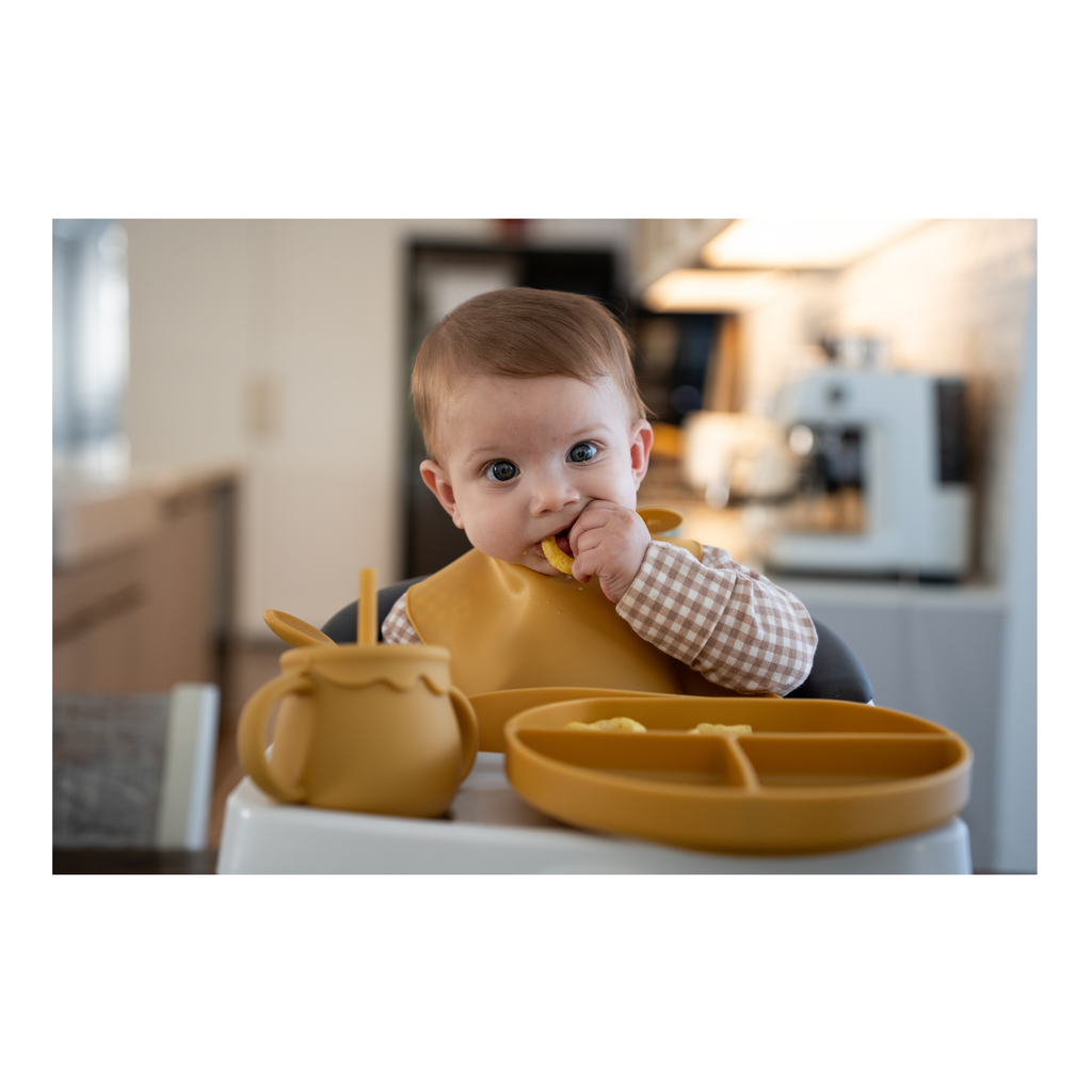 Wiggleware Silicone Baby Feeding Set
